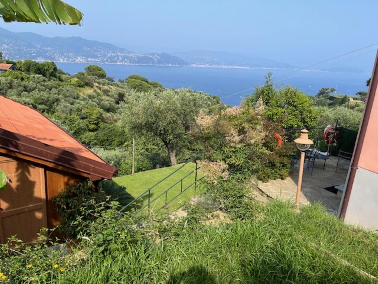 Terre Rosse *