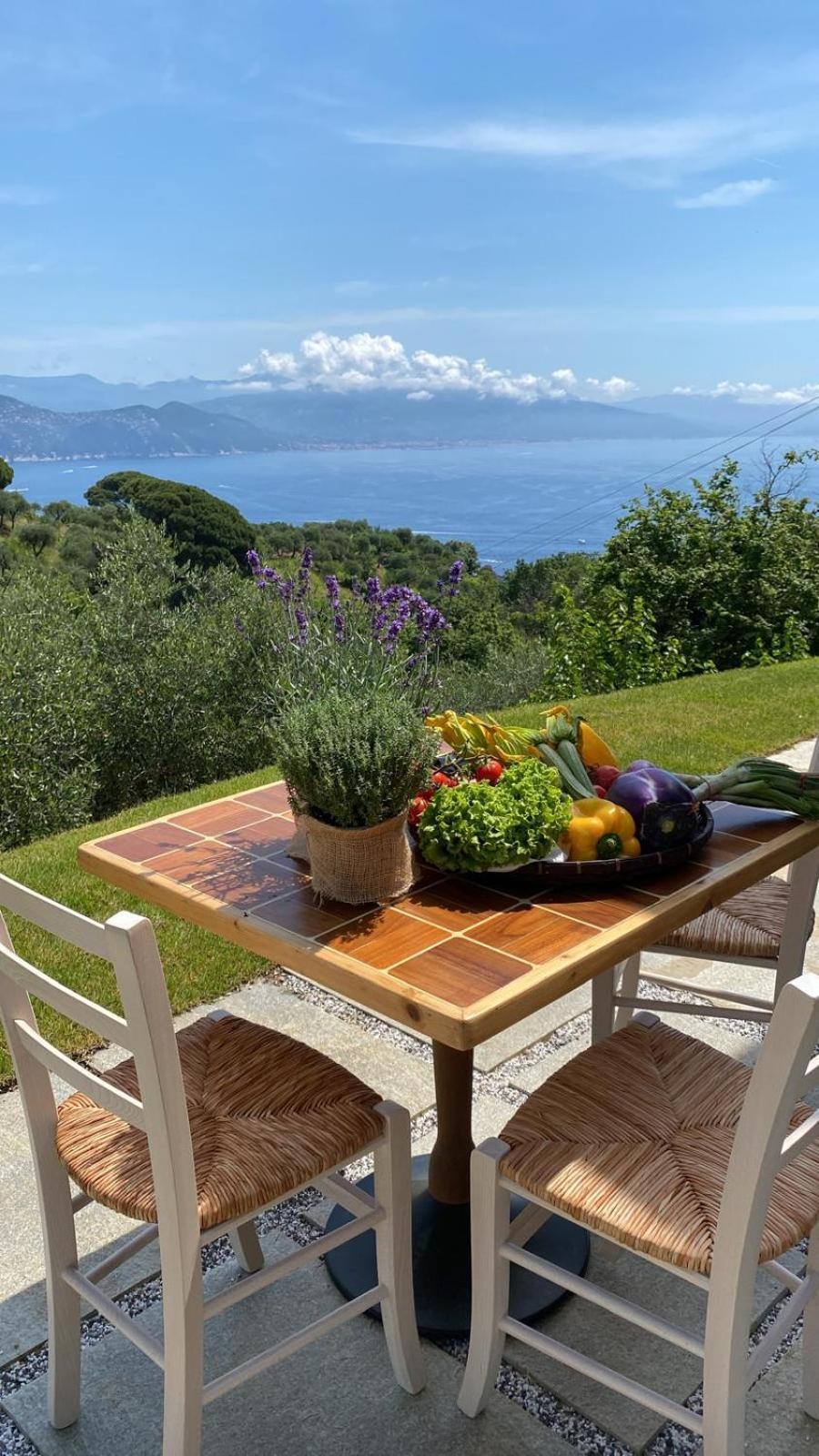 Terre Rosse Portofino