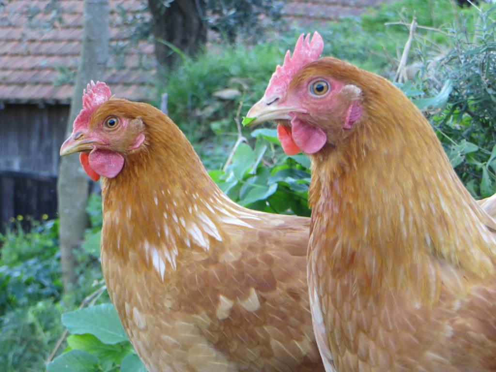 Séjour à la ferme Terre Rosse