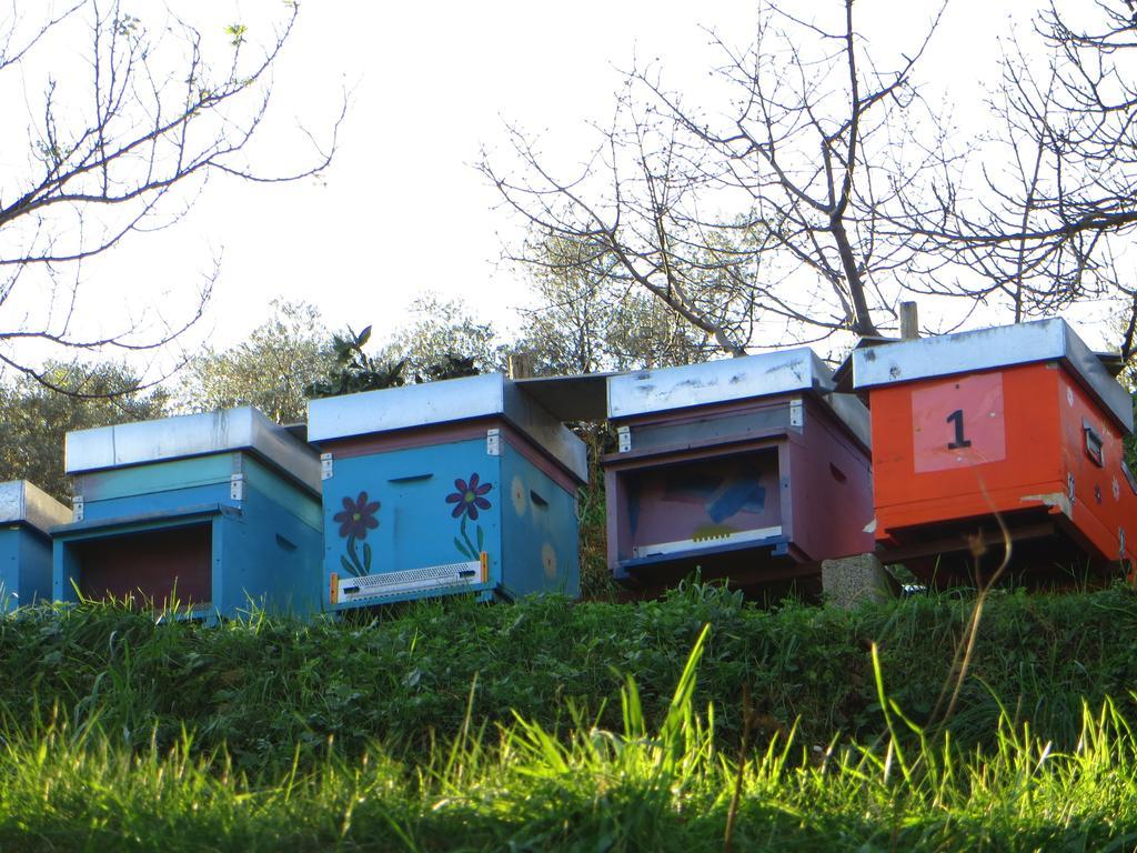 Séjour à la ferme Terre Rosse