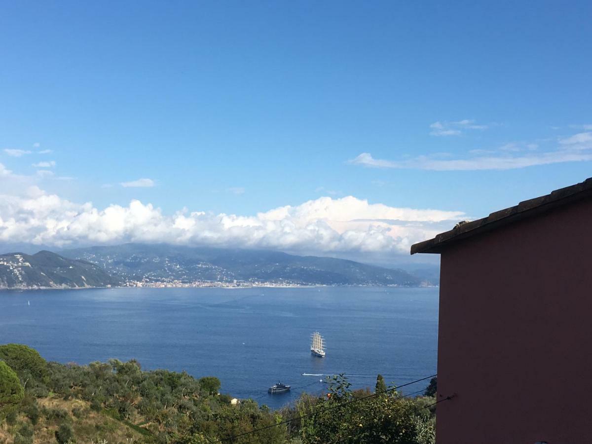 Terre Rosse *